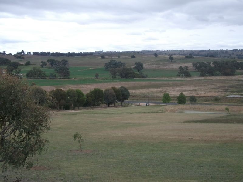 470 Chillingworks Rd, Young NSW 2594