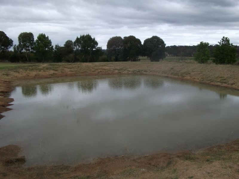 470 Chillingworks Rd, Young NSW 2594