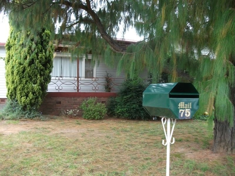 75 Brock Street, Young NSW 2594