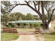 610 Monteagle Stock Route, Young NSW 2594