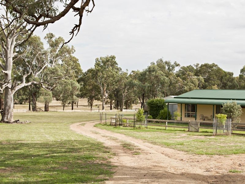 610 Monteagle Stock Route, Young NSW 2594