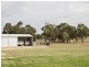 610 Monteagle Stock Route, Young NSW 2594