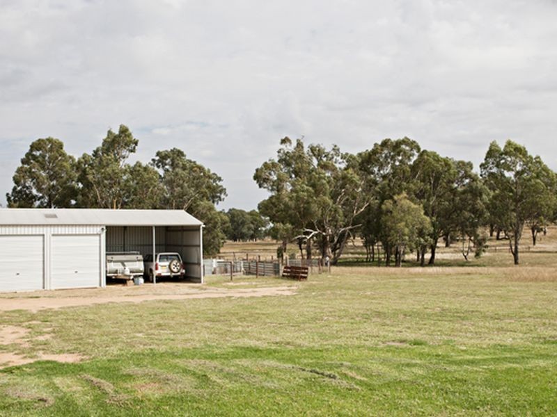 610 Monteagle Stock Route, Young NSW 2594