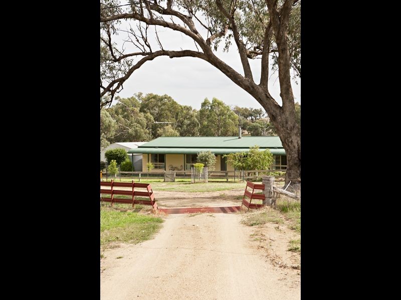 610 Monteagle Stock Route, Young NSW 2594