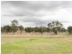 610 Monteagle Stock Route, Young NSW 2594
