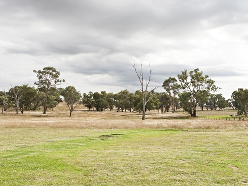 610 Monteagle Stock Route, Young NSW 2594