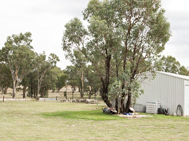 610 Monteagle Stock Route, Young NSW 2594