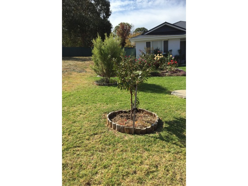 12 Molloy Place, Young NSW 2594