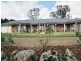 183 Spring Creek Road, Young NSW 2594