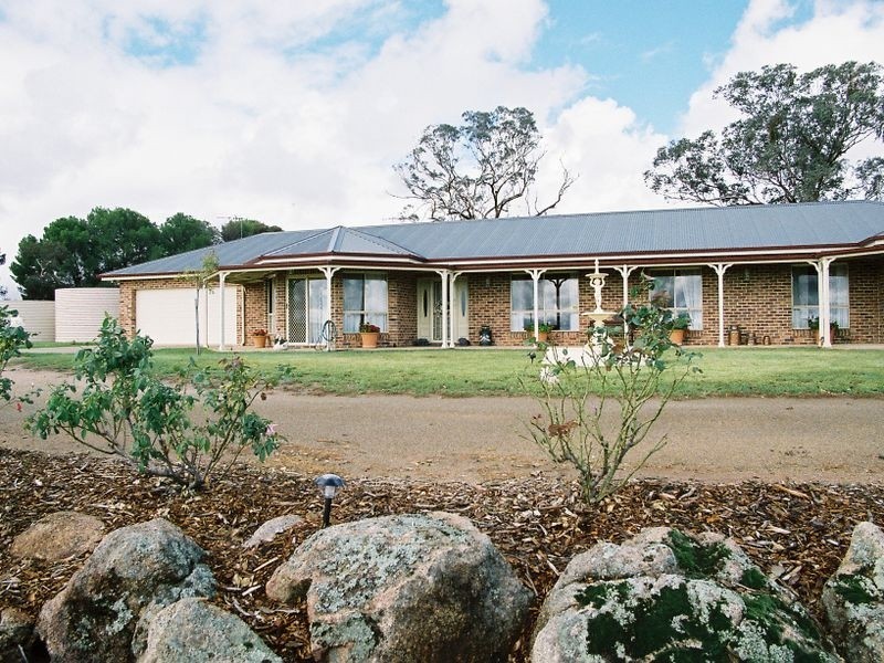 183 Spring Creek Road, Young NSW 2594