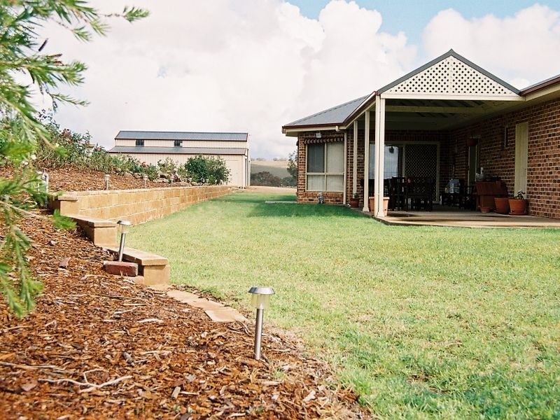 183 Spring Creek Road, Young NSW 2594