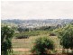 183 Spring Creek Road, Young NSW 2594