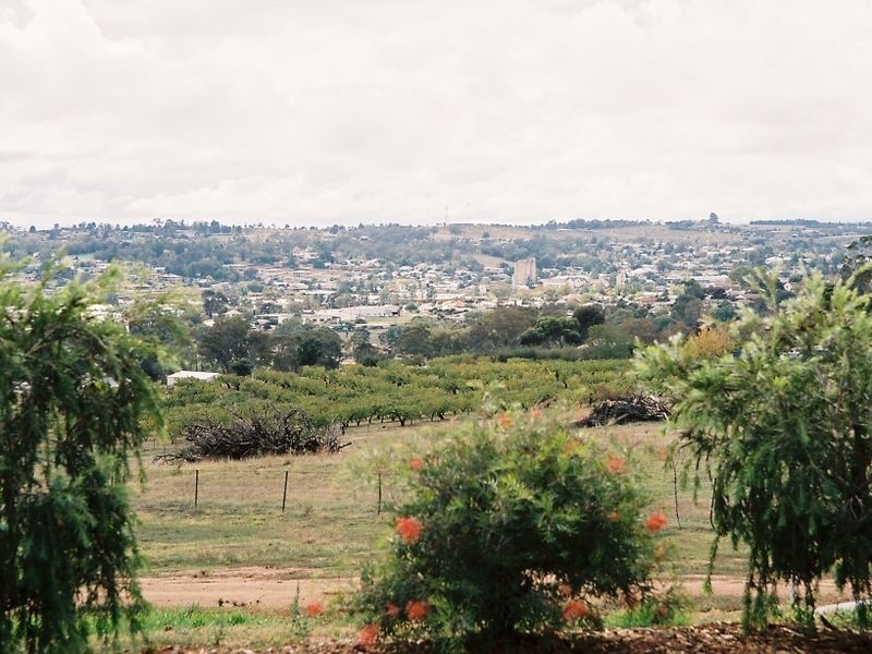 183 Spring Creek Road, Young NSW 2594