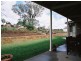 183 Spring Creek Road, Young NSW 2594