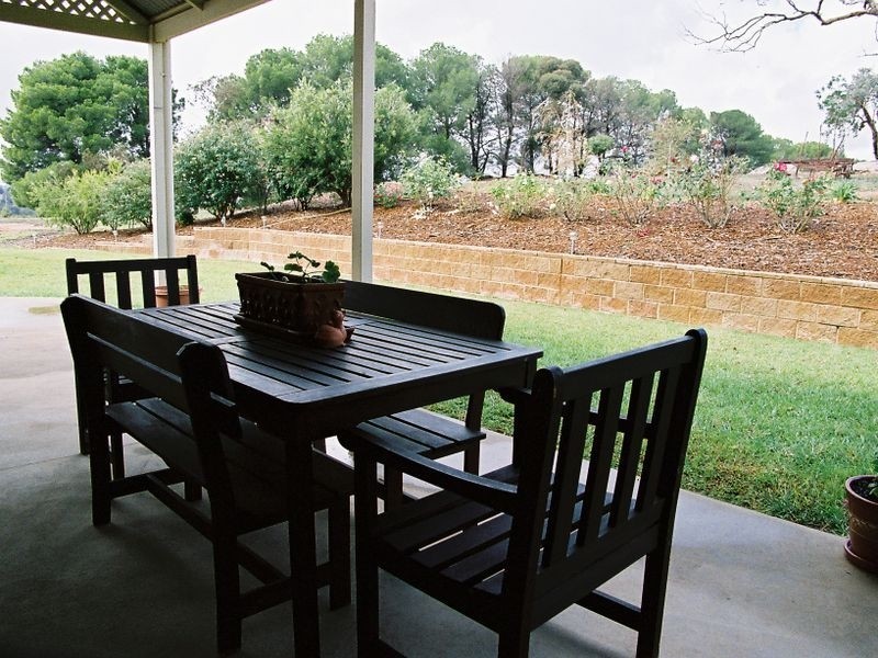 183 Spring Creek Road, Young NSW 2594