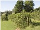 37 Purchas, Young NSW 2594