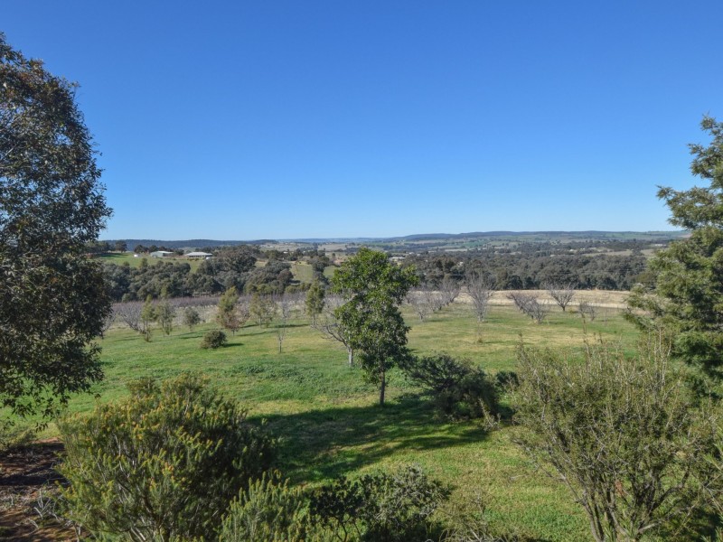 7 Donges Road, Young NSW 2594