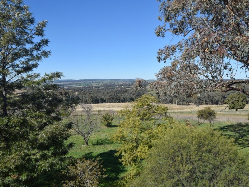 7 Donges Road, Young NSW 2594