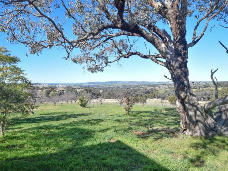 7 Donges Road, Young NSW 2594