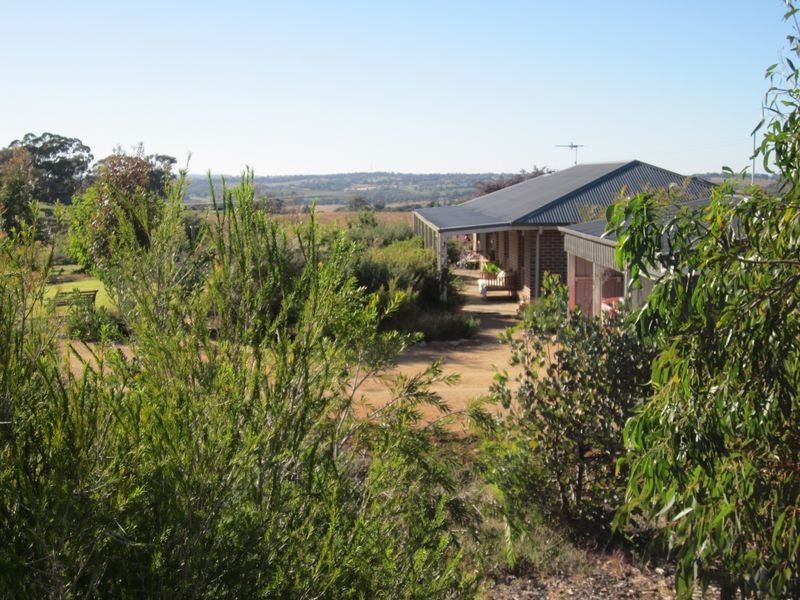 519 Spring Creek Road, Young NSW 2594