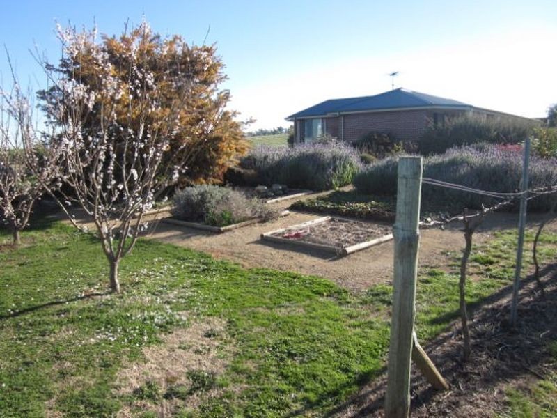 519 Spring Creek Road, Young NSW 2594