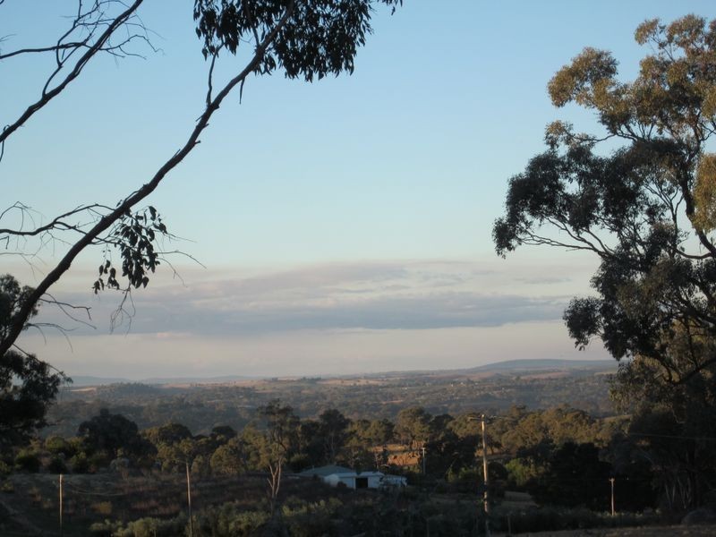 519 Spring Creek Road, Young NSW 2594