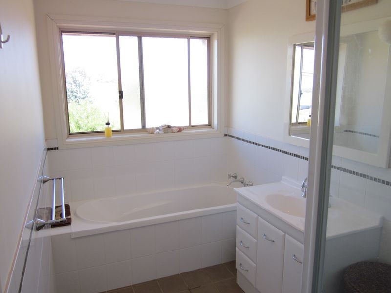 519 Spring Creek Road, Young NSW 2594