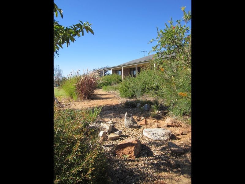 519 Spring Creek Road, Young NSW 2594