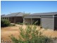 519 Spring Creek Road, Young NSW 2594