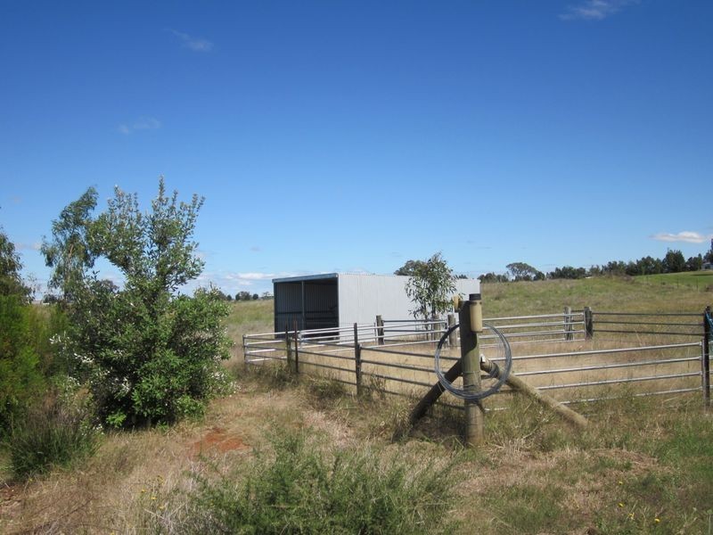 519 Spring Creek Road, Young NSW 2594