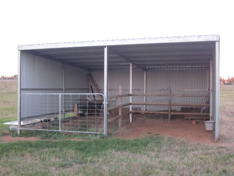 519 Spring Creek Road, Young NSW 2594