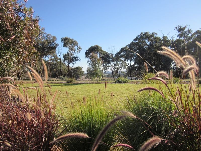 519 Spring Creek Road, Young NSW 2594