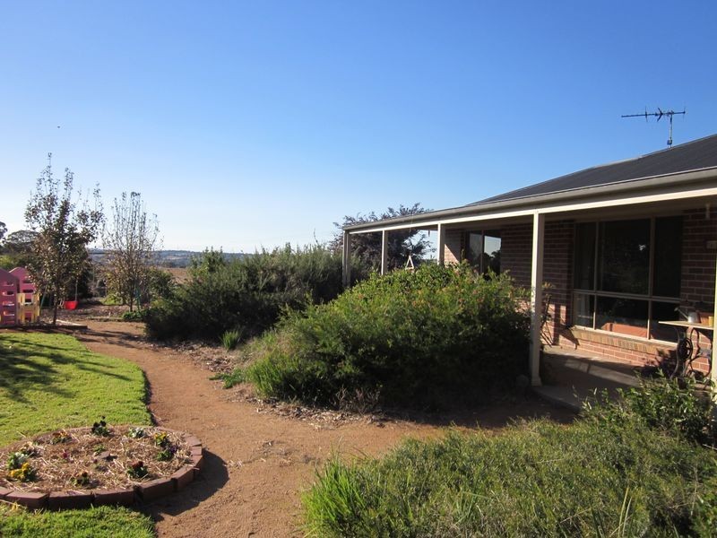 519 Spring Creek Road, Young NSW 2594