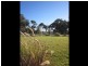 519 Spring Creek Road, Young NSW 2594