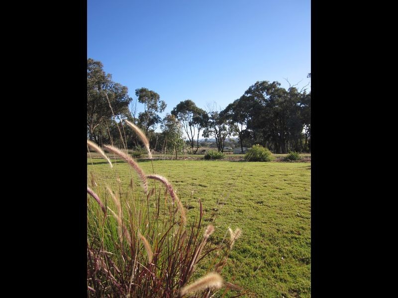 519 Spring Creek Road, Young NSW 2594