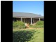 519 Spring Creek Road, Young NSW 2594