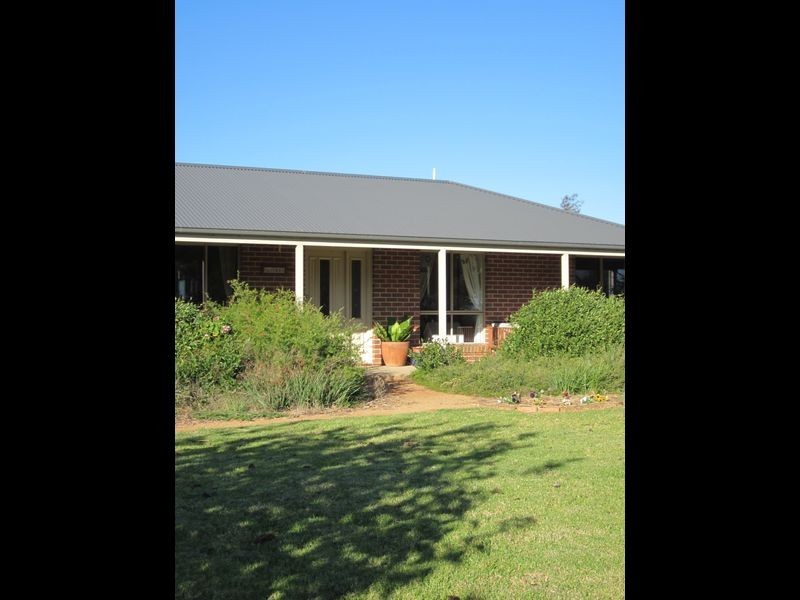 519 Spring Creek Road, Young NSW 2594