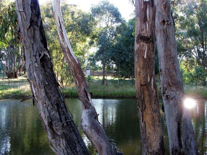 19 Hardys Rd, Young NSW 2594