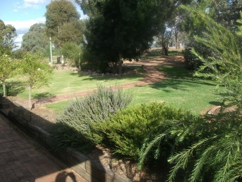 19 Hardys Rd, Young NSW 2594