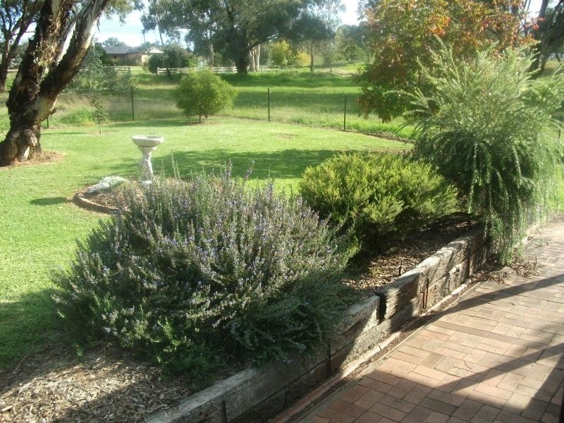 19 Hardys Rd, Young NSW 2594