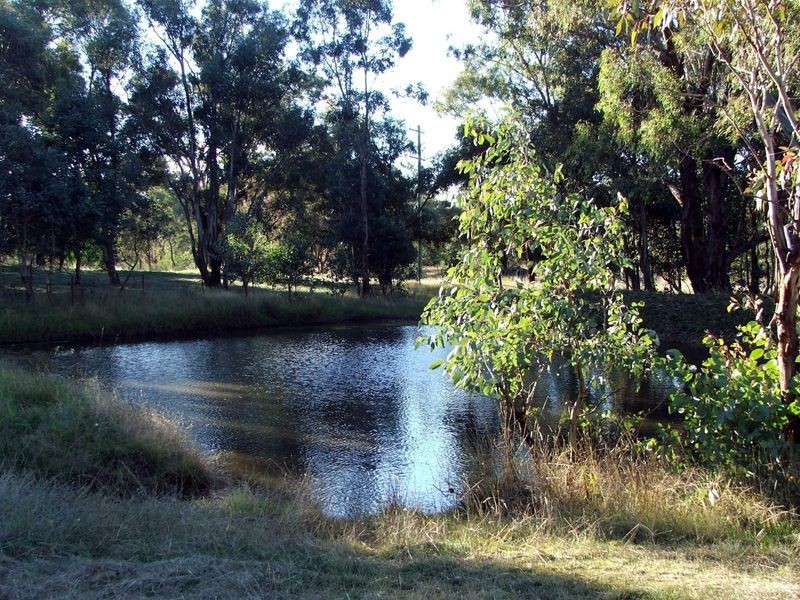 19 Hardys Rd, Young NSW 2594