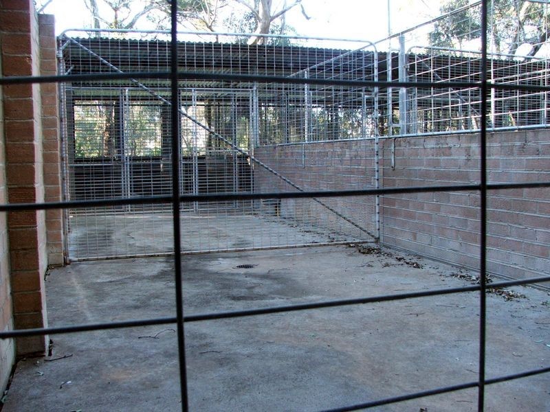 19 Hardys Rd, Young NSW 2594