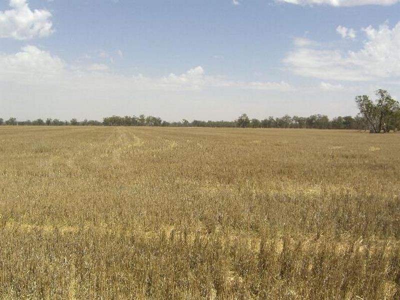 00 Kire Rd, Quandialla NSW 2721