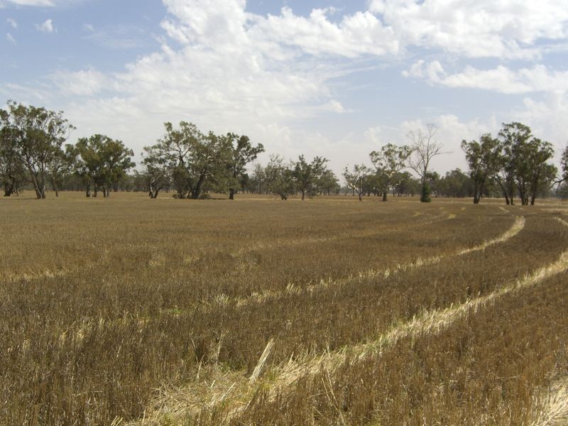 00 Kire Rd, Quandialla NSW 2721