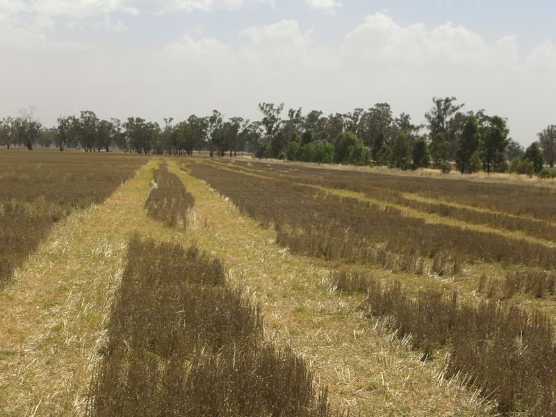 00 Kire Rd, Quandialla NSW 2721