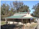 51 Sads Lane, Young NSW 2594