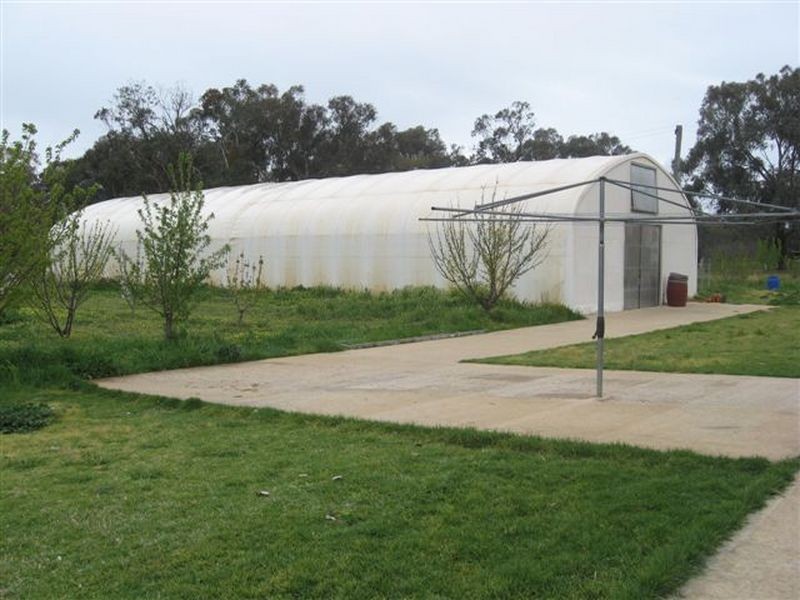 00 Thompsons Road, Young NSW 2594