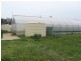 00 Thompsons Road, Young NSW 2594