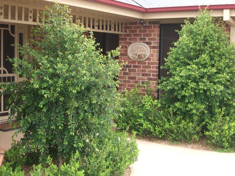 03 Gold Court, Young NSW 2594