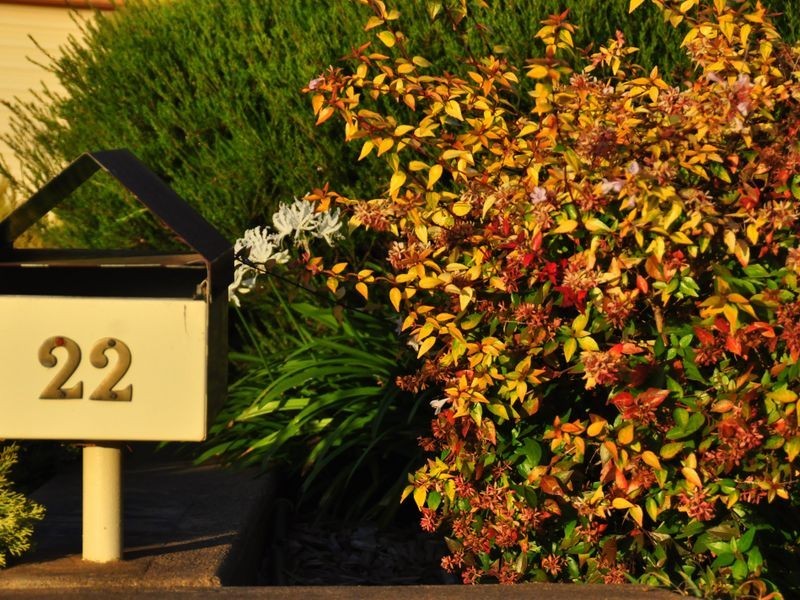 22 Back Creek Road, Young NSW 2594